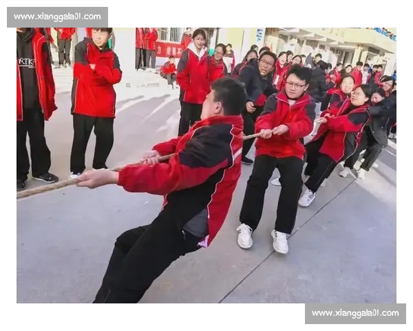 团结协作力量大记一次难忘的拔河比赛