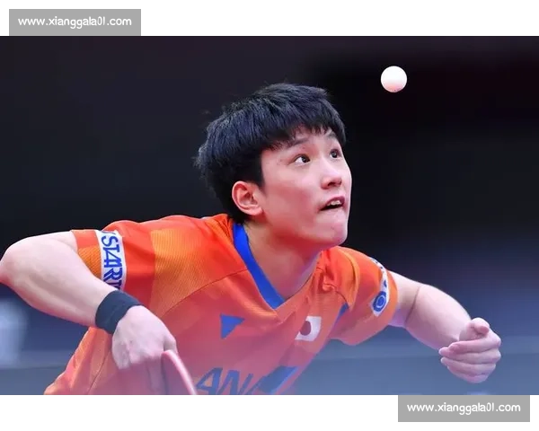 张本智和与波尔激战连场乒乓赛风云对决精彩纷呈