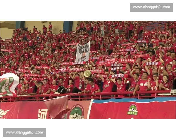 建业队全力拼搏赛场风采激发球迷热情与期待