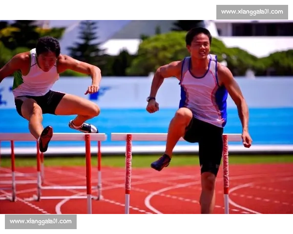 体育成功经验分享：如何通过坚持与科学训练打造顶尖竞技水平